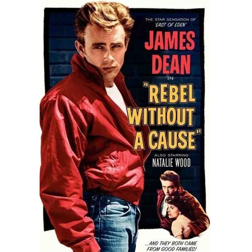 فیلم rebel without a cause