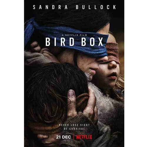 فیلم  bird box